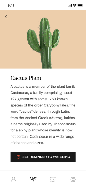 cactus screen.png